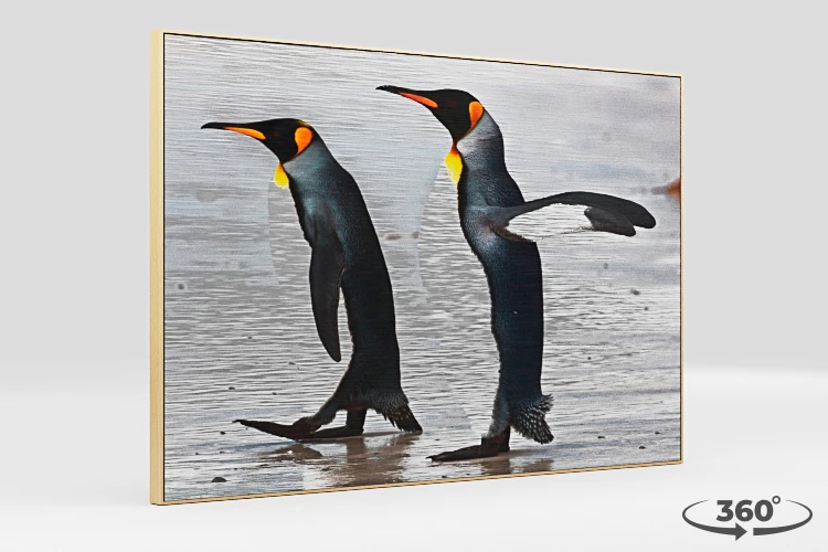 360 view of the product