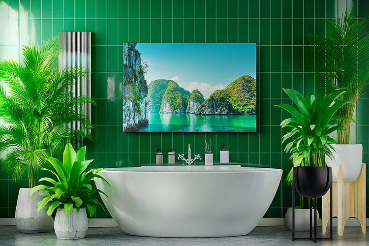 Impression sur Forex dans une salle de bain.