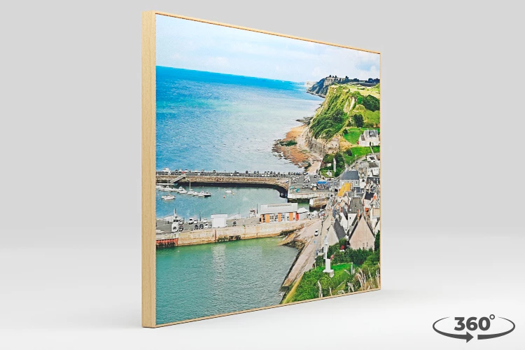 360 view of the product