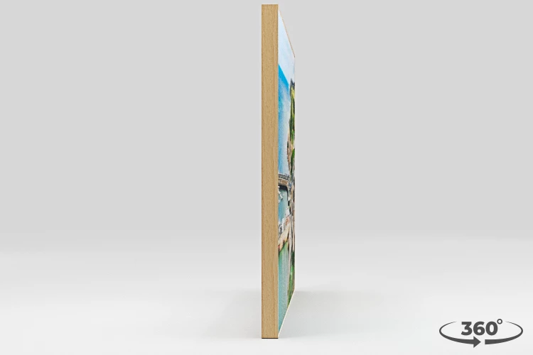 360 view of the product