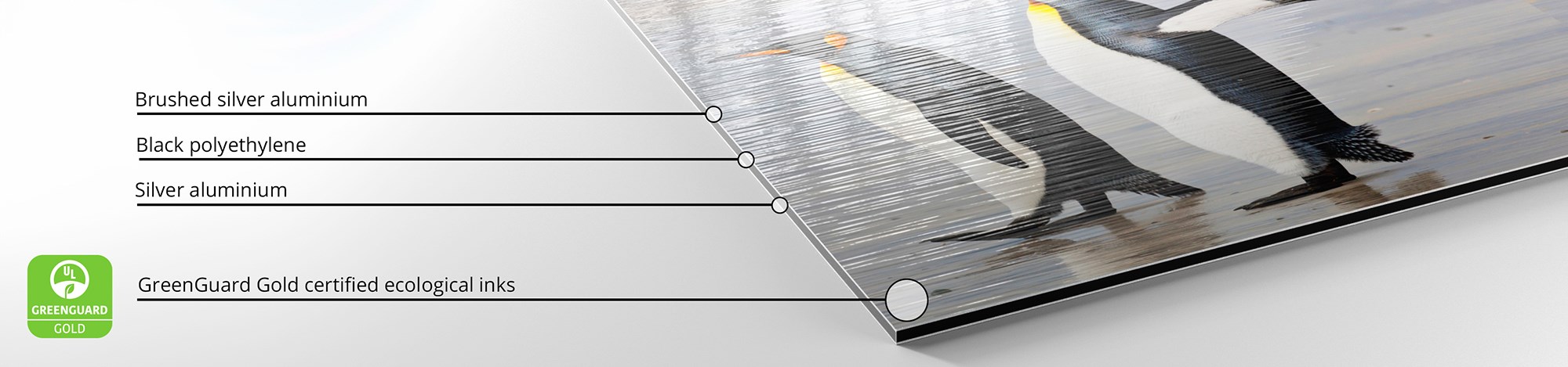 Detail of a print on Silver Brushed Dibond using Greenguard Gold-certified ecological inks.