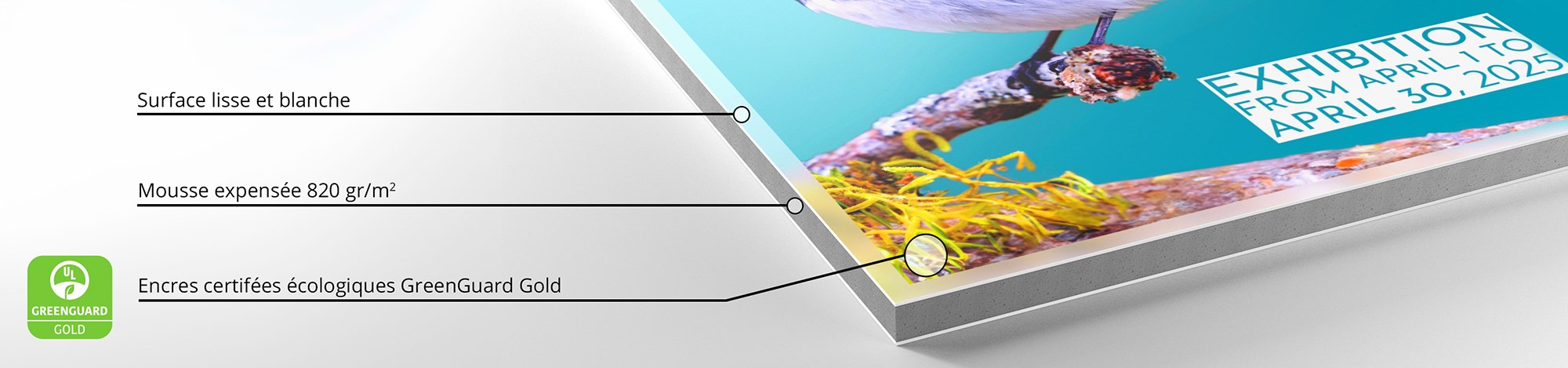 Détail d'une impression sur Carton-Plume avec des encres écologiques certifiées Greenguard Gold.