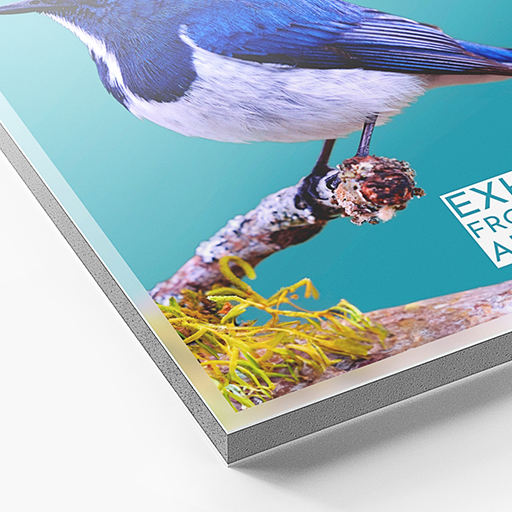 Menu Carton Plume Adv