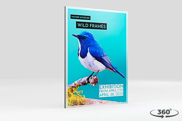 360 view of the product