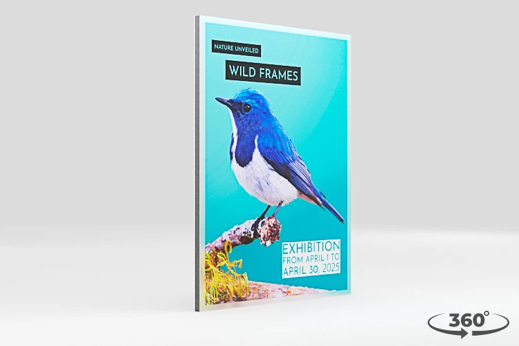 360 view of the product