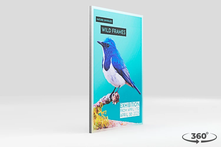 360 view of the product