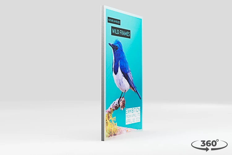 360 view of the product