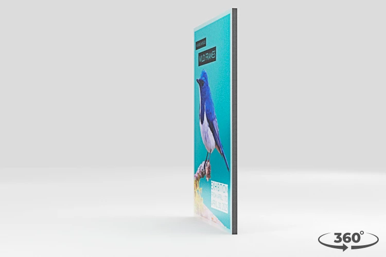 360 view of the product