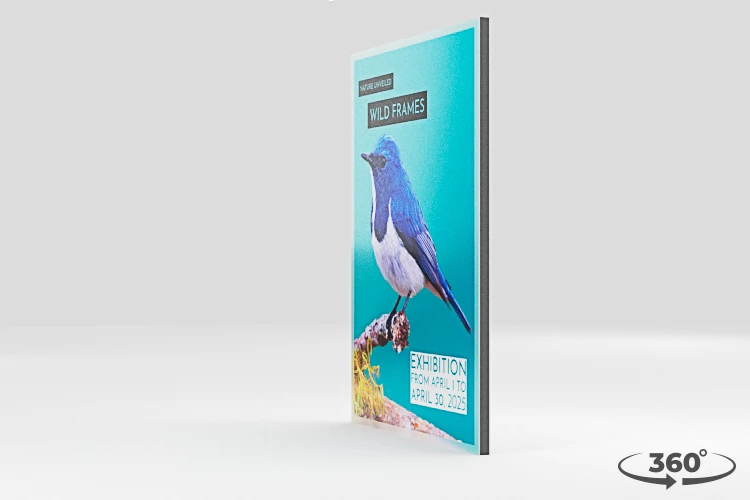 360 view of the product