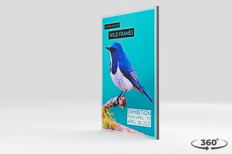 360 view of the product