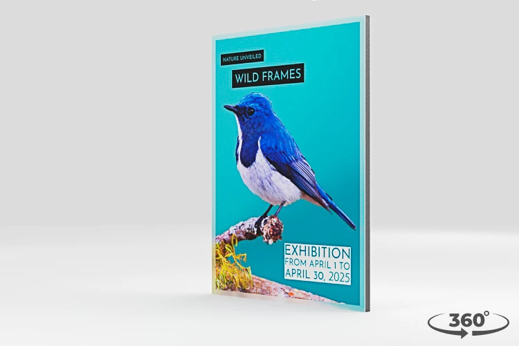 360 view of the product