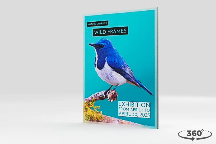 360 view of the product