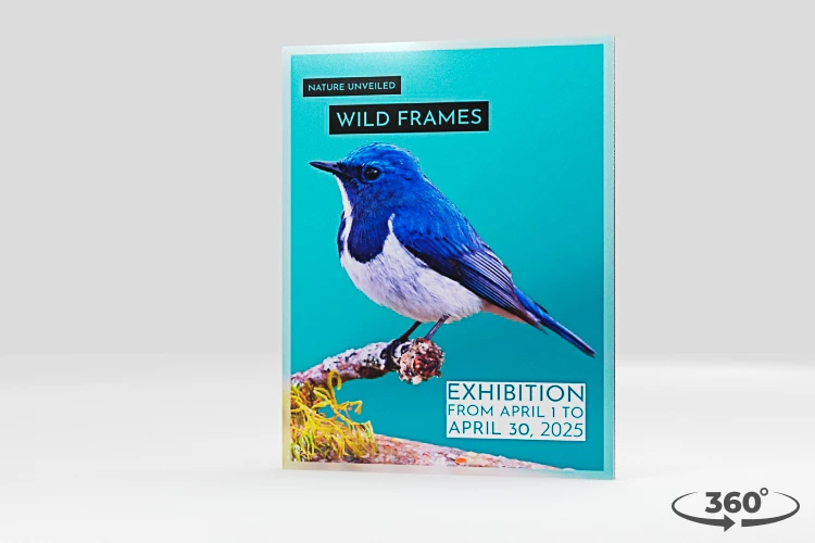 360 view of the product