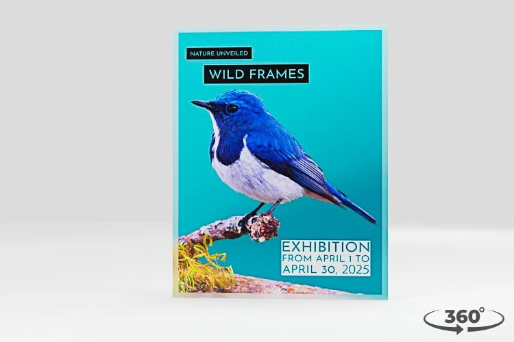 360 view of the product