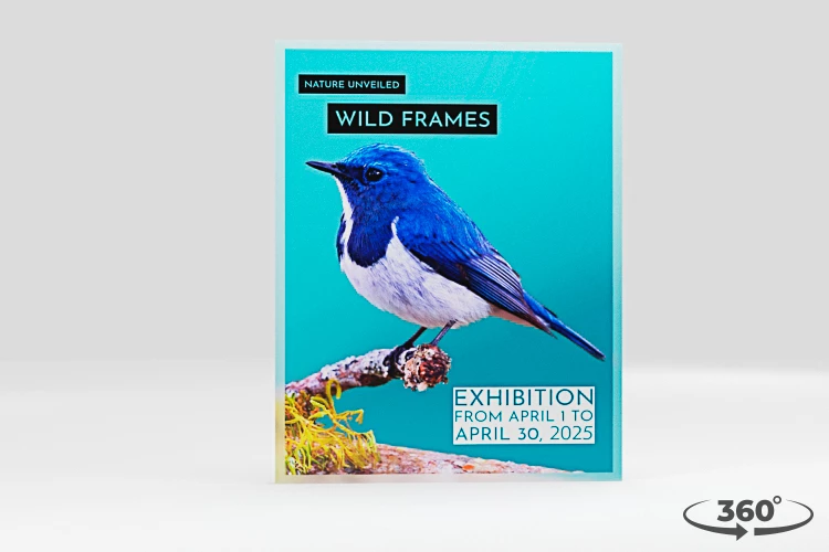 360 view of the product