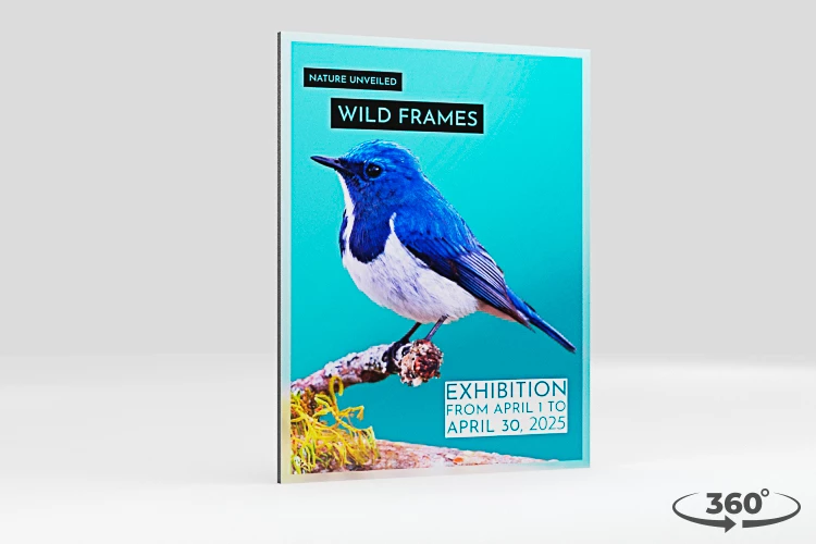 360 view of the product