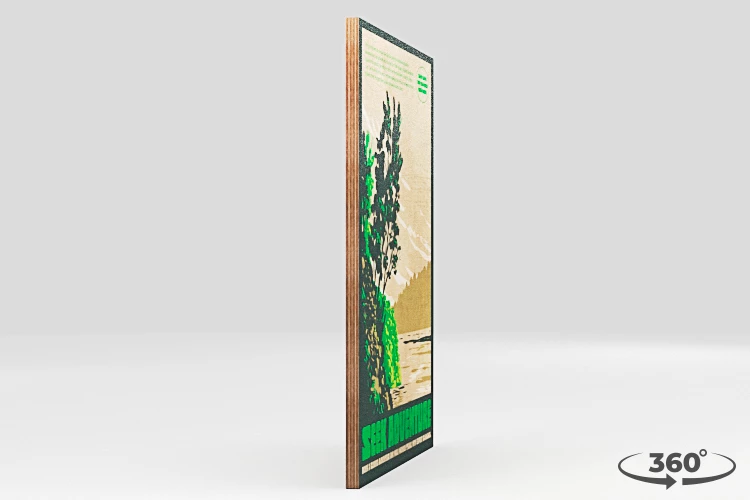 360 view of the product