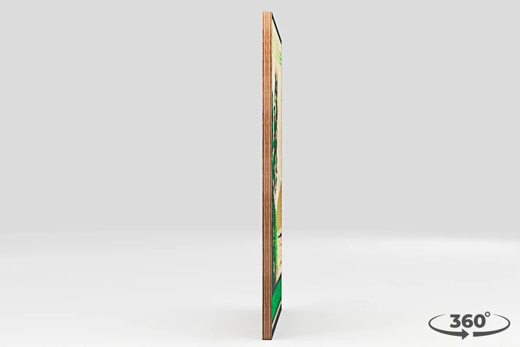 360 view of the product