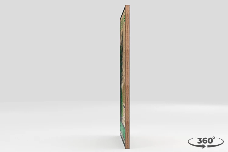 360 view of the product