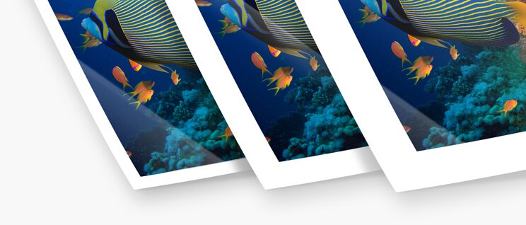 Adding white edges online — AuthenticPhoto.com