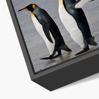Wooden_Frame_Dibond_Alu.jpg