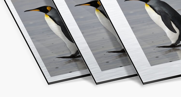 Ajout de bords blancs en ligne sur Dibond Aluminium Brossé — AuthenticPhoto.com