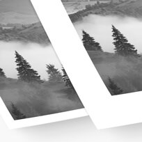 BW_Ultrasmooth_White_Edges_2019.jpg