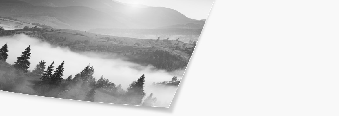 BW_Ultrasmooth_Slider_2019.jpg