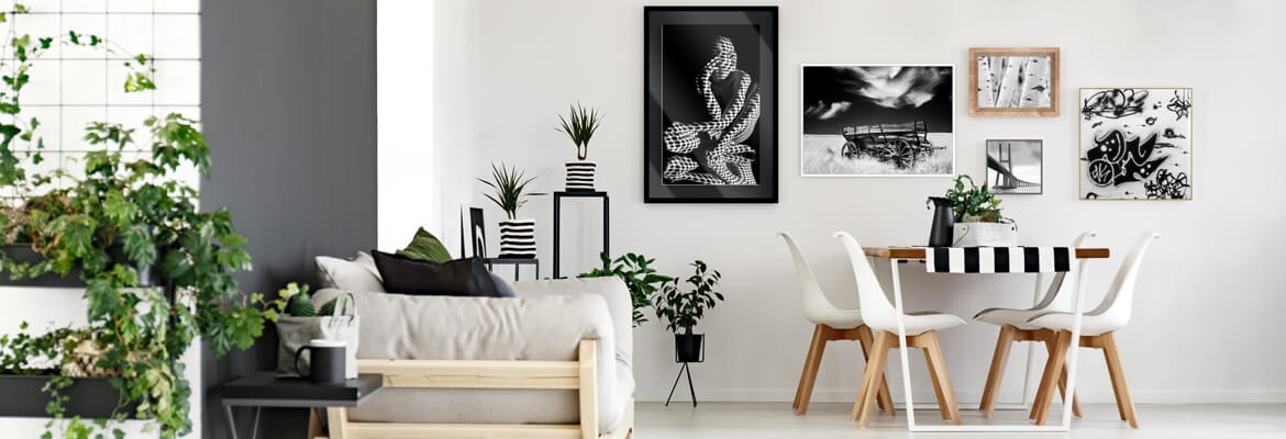 Floater frames and showcase frames with anti-reflective Artglass — Authentic Photo.com