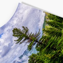 Torchon_Curve_square_2019.jpg