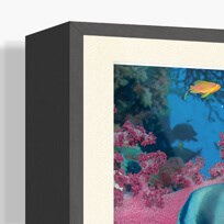 Color_Canson_Vitrines.jpg