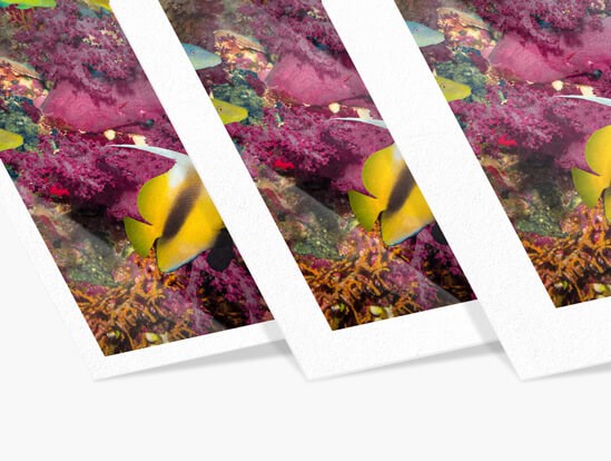 Ajout de bords blancs en ligne — AuthenticPhoto.com