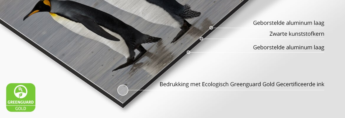 Beelden rechtstreeks op Alu - Dibond gedrukt zijn zonder weerspiegeling dankzij de matte UV Inkten bij AuthenticPhoto