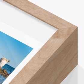 Menu_Frames_Camargue.jpg