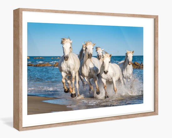 Cadre bois avec verre du type Camargue — AuthenticPhoto.com