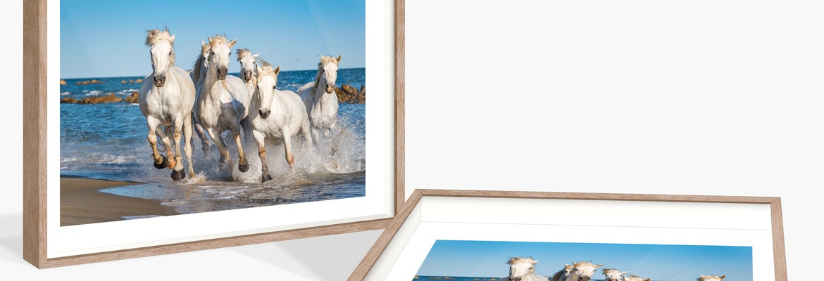 Camargue_Frame_Duo_Slider.jpg