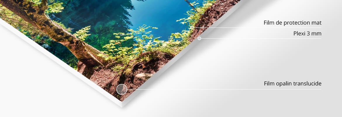 Diasec Film Transparent : Contrecollage du Film Transparent / Opalin sur Plexi