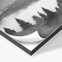 BW Ultrasmooth Photo Dibond 2019 Nofilm