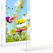 UV Plexi Full White