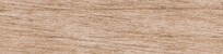 Maple — AuthenticPhoto.com
