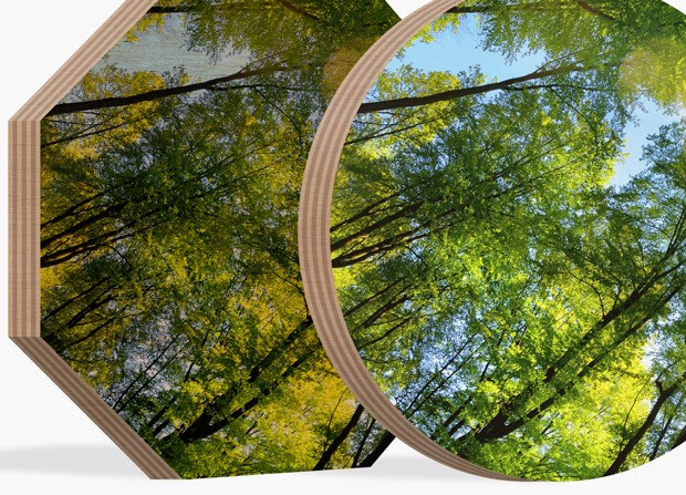 Images imprimées sur Bois écologique, fraisées dans des formes spéciales chez Authenticphoto.com