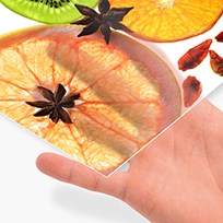 Opalmat Hand 2021