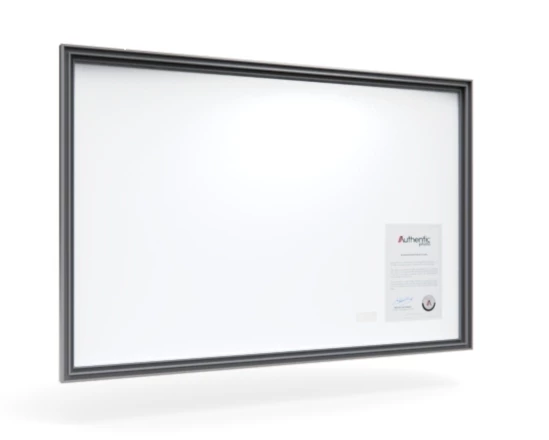 360 view of the product