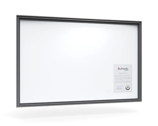 360 view of the product