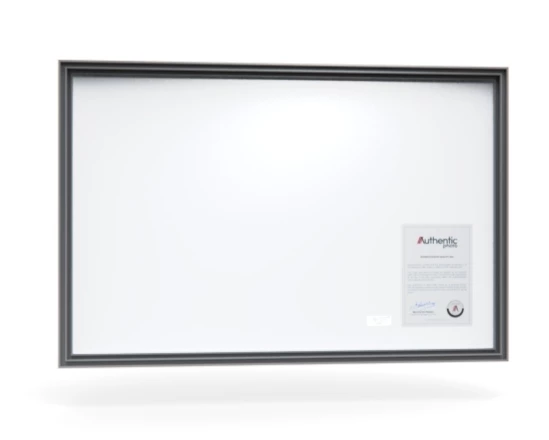 360 view of the product