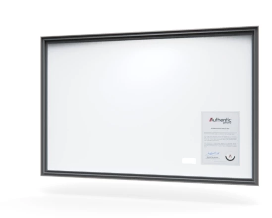 360 view of the product