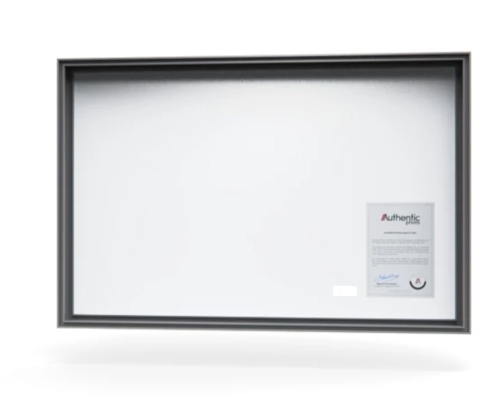 360 view of the product