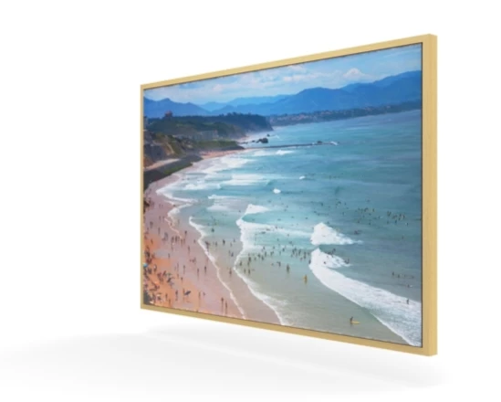 360 view of the product