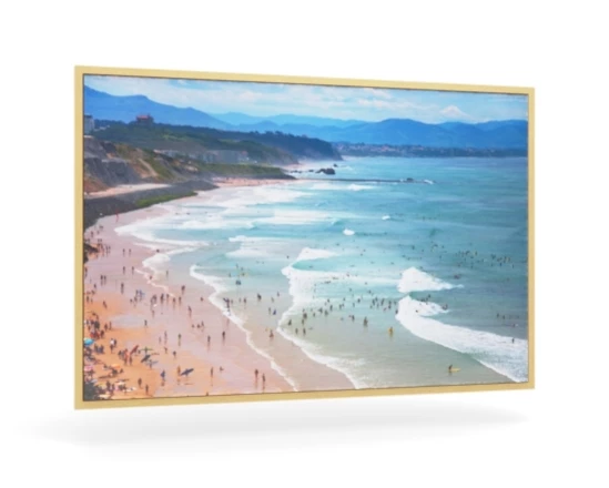 360 view of the product