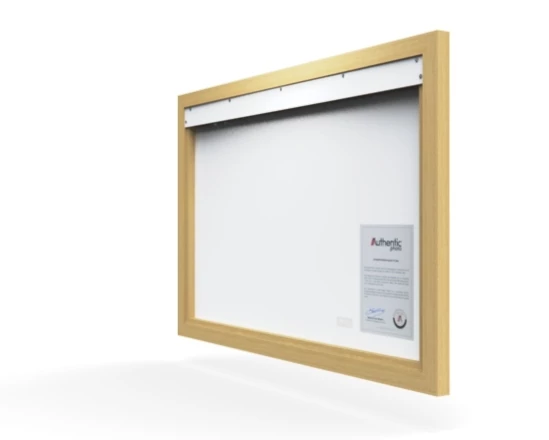 360 view of the product